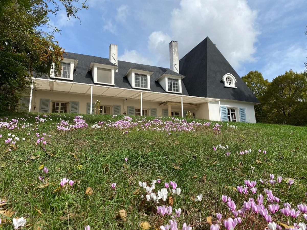Manoir Et Appartements Avec Piscine Au Domaine De Bize Mirepoix Mirepoix (Ariege) Exterior foto